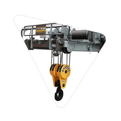 Standard Electric Hoist